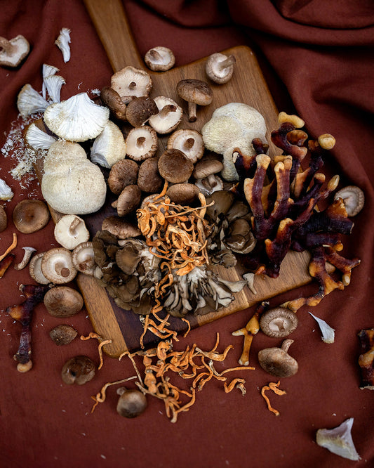 Medicinal Mushrooms 101