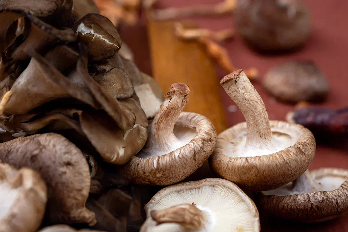 Maitake and Shiitake Mushrooms