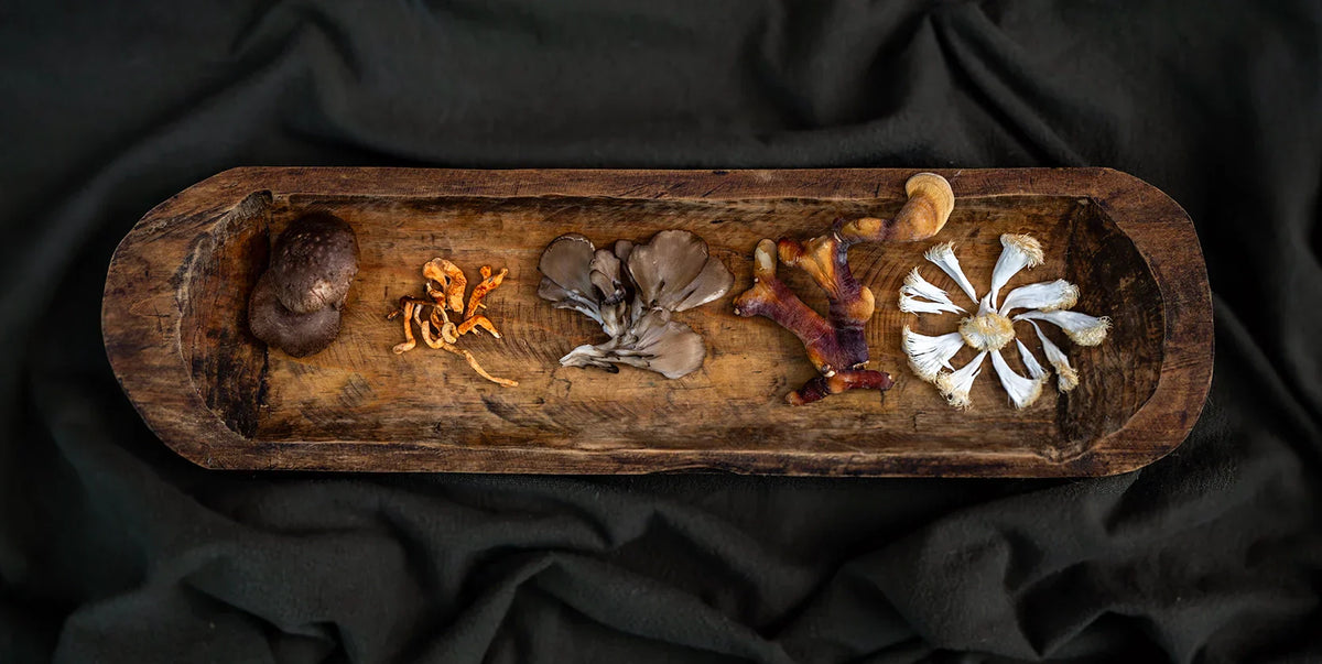 Welcome to Wellness Insights – Your Trusted Source for Natural Health Tips