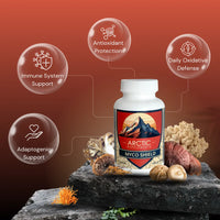 Myco Shield – Medicinal Mushroom Immune Support Supplement