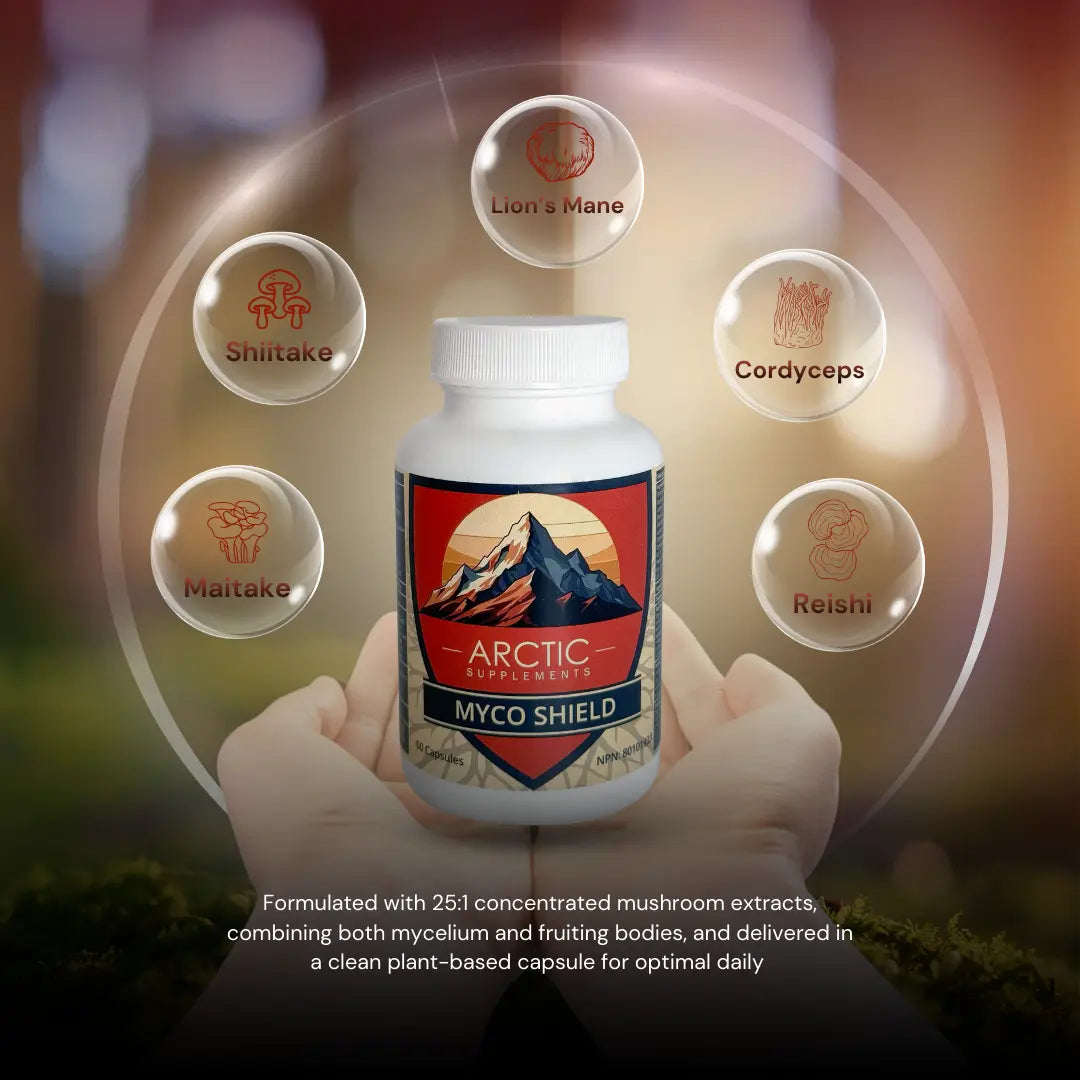 Myco Shield – Medicinal Mushroom Immune Support Supplement
